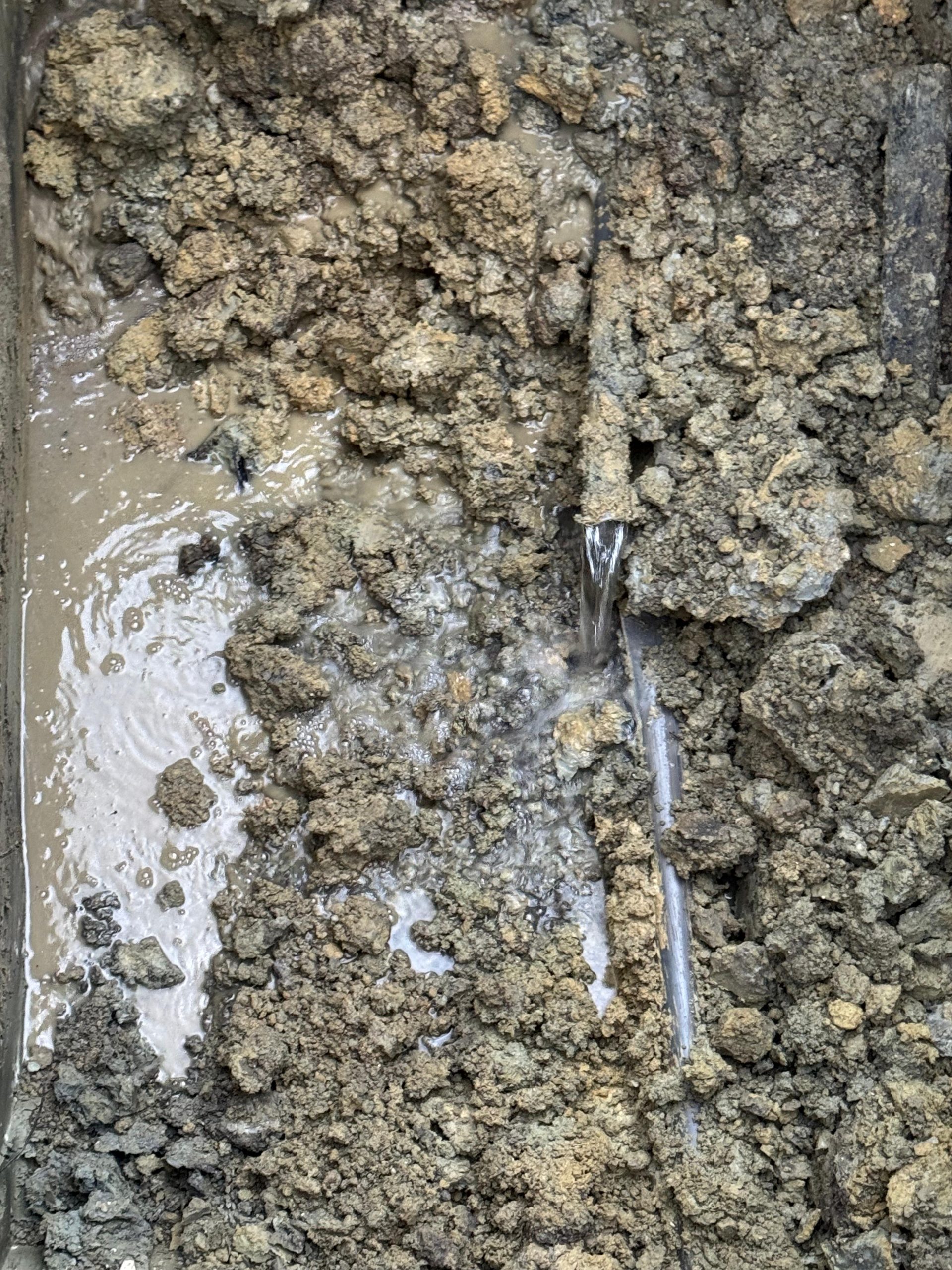 WhatsApp Image 2025-01-21 à 10.41.06_2e1a2212