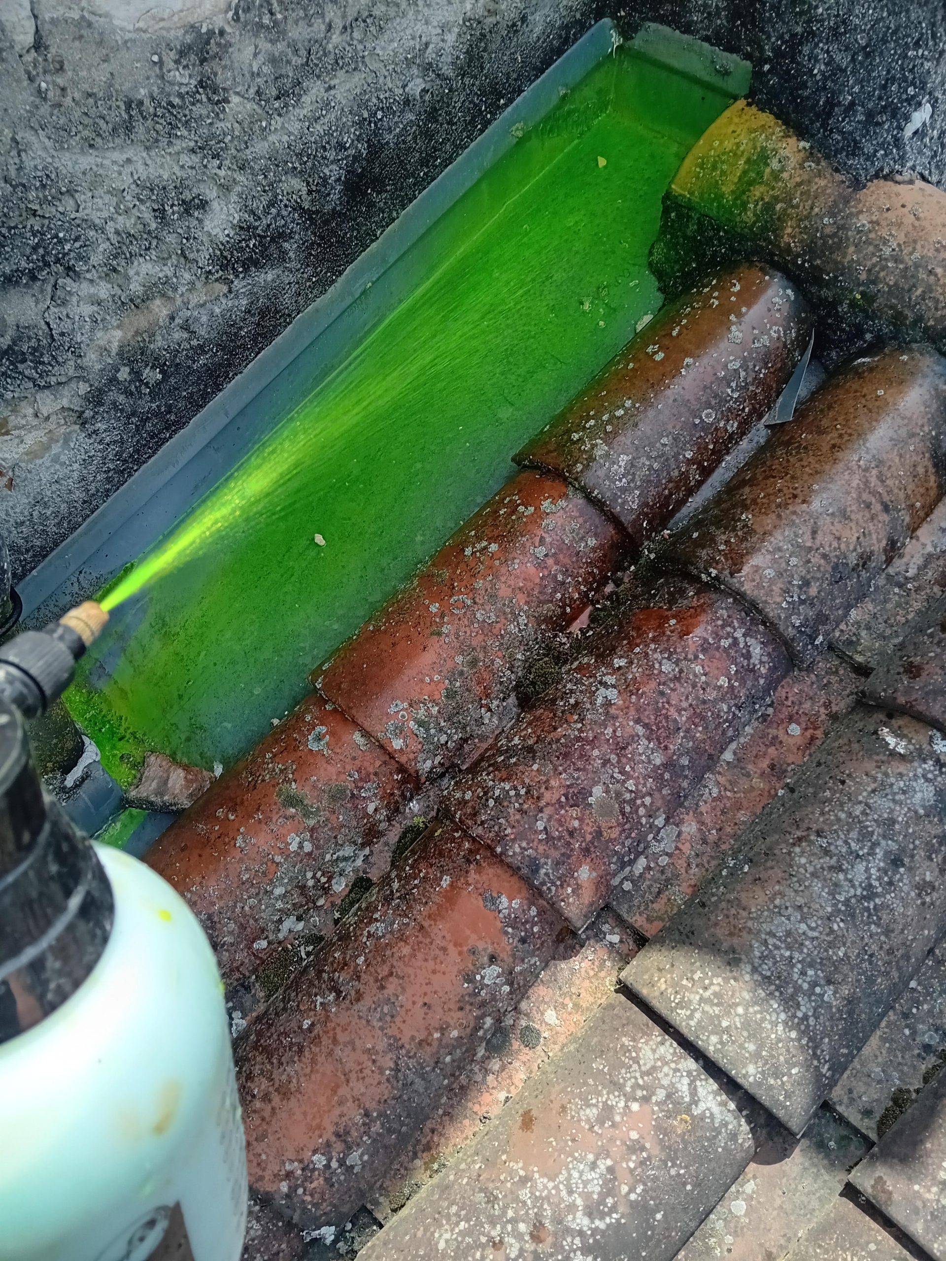 WhatsApp Image 2025-01-21 à 10.49.06_c5e6a99f